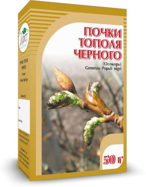 Тополя черного (почки), 50 г фотография